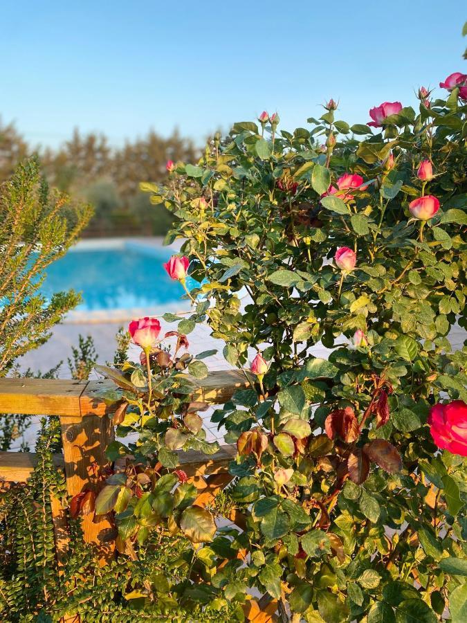 Agriturismo Le Giare Bagno Roselle Εξωτερικό φωτογραφία