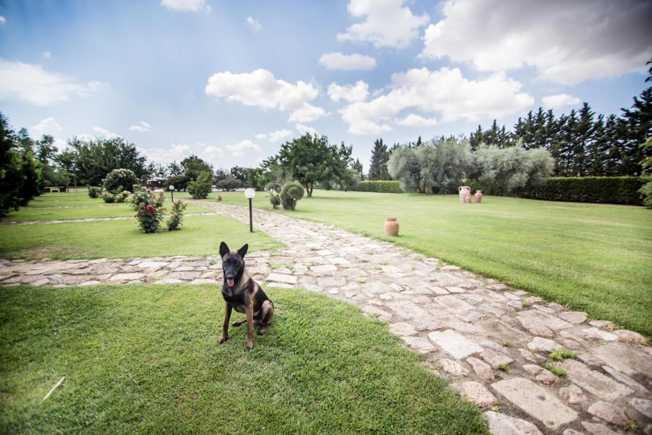 Agriturismo Le Giare Bagno Roselle Εξωτερικό φωτογραφία