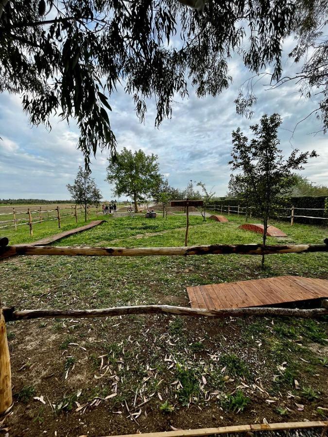 Agriturismo Le Giare Bagno Roselle Εξωτερικό φωτογραφία
